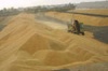 РФ установила рекорд по экспорту зерна