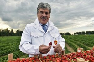 СМИ: новым министром сельского хозяйства РФ может стать Павел Грудинин