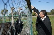 Фермеры Северной Осетии начали разводить страусов