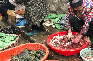 Китай: Пекин намерен запретить охоту на диких животных и продажу их мяса