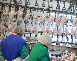 Мясной сектор привлек $7,2 млрд. К 2021 году Россия сможет производить до 3% мирового объема мяса