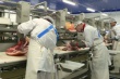 В Туве началось строительство мясокомбината мощностью 2 тысячи тонн мяса в год