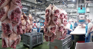 В январе Курский мясоперерабатывающий завод начнет поставлять свинину во Вьетнам