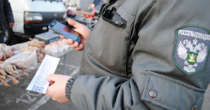 В Самарской области выявляют факты торговли свининой в условиях ЧС по африканской чуме свиней 