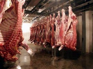 В Самарском регионе появится новый цех по убою скота