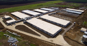 Свиноводческий проект «Русагро» в Приморье стартует в следующем году