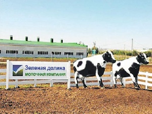 Белгородская «Зеленая долина» надеется запустить молкомплекс за 2,5 млрд рублей уже в этом году