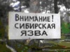 Ситуация по сибирской язве на Алтае остается напряженной Ситуация по сибирской язве на Алтае остается напряженной
