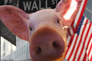 Смертельный вирус свиней мог попасть в США на гибких контейнерах