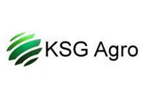 Украинский KSG Agro увеличил продажи свиней