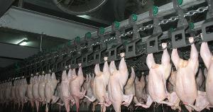 Отменены ограничения на транзит мяса птицы через Россию в Казахстан