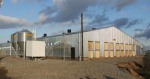 Алтайский край: имущество Павловской птицефабрики ушло с торгов за 128,1 млн рублей