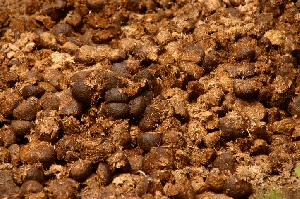 Суд оштрафовал помощника фермера с телегой навоза у Сбербанка