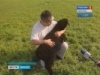 В Нукутском районе фермер занимается возрождением элитной породы овец