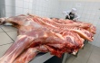 Россельхознадзор впервые обнаружил опасный гормон роста в мясе из ЕС