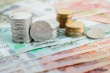 На Дону владельцам погибших от АЧС животных возместят ущерб