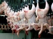 Турция увеличила поставки курятины в Россию в 120 раз