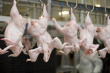  Тюменский холдинг наказали за сомнительную мясную продукцию