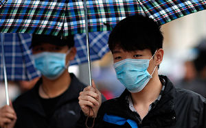 Роспотребнадзор напомнил об опасности птичьего гриппа в Китае