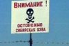 Сибирские язвы общества. России угрожают заразой полсотни скотомогильников