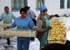 Печально известная птицефабрика Красная поляна восстановит производство