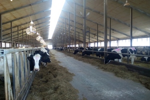  Животноводы Зауралья готовы перенимать лучший опыт соседних регионов 