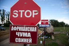 Ростовская область значительно улучшила ситуацию по АЧС