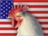 Россияне могут больше не увидеть американских куриных окорочков