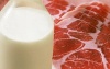 Белорусские мясо-молочные предприятия планируют производить продукцию по стандарту "Халяль"