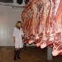 Tonnies Fleisch и «Агроимпорт» надеются в сентябре приступить к строительству в Воронежской области мясоперерабатывающего завода Tonnies Fleisch и «Агроимпорт» надеются в сентябре приступить к строительству в Воронежской области мясоперерабатывающего завода