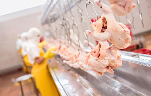 Потенциальный инвестор рассматривает возможность создания производства мяса птицы на Камчатке