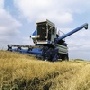 Производство продукции АПК в Воронежской области в 2011 году увеличилось на 65% за счет роста сборов сельхозкультур