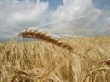 Аграрии Мордовии подвели итоги работы отрасли за 2011 год
