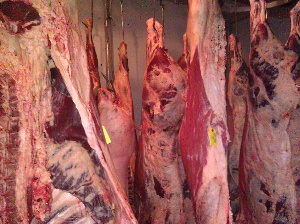 Курская область наращивает темпы производства мяса