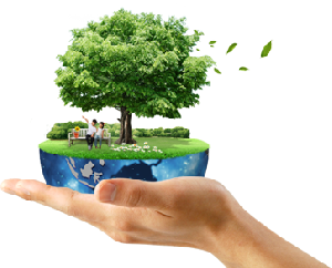 В России ввели экологический сбор для импортеров и производителей