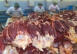Россия сохранит запрет на импорт мяса из США из-за использования рактопамина