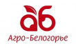 В первом квартале текущего года «Агро-Белогорье» реализовало свыше 58 тыс. тонн свиней