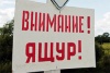 Сергей Данкверт провел совещание всвязи с обострившейся эпизоотической ситуации по ящуру. Сергей Данкверт провел совещание всвязи с обострившейся эпизоотической ситуации по ящуру.