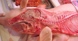 С последней декады декабря в России на 1,5% выросли цены на свинину