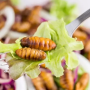 В меню британских школ появятся блюда с насекомыми