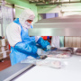 Австралия лидирует в производстве халяльного мяса
