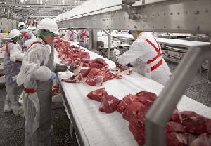 Белорусский «Снов» нарастит экспорт говядины до $13 млн в этом году