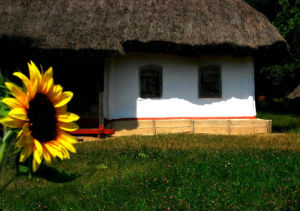 Украина: запрет подворного забоя скота приведет к расширению теневого рынка мясопродуктов - эксперт