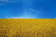 Рада внесла изменения в бюджет-2018, сократив поддержку АПК на 2,08 млрд грн