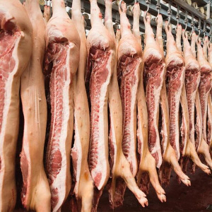 Производство свинины в этом году может вырасти на 200 тысяч тонн
