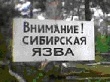 Ситуация по сибирской язве на Алтае остается напряженной