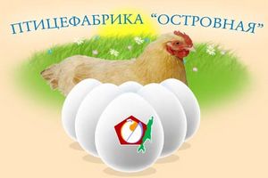  Птицефабрика «Островная» начала реализацию продукции на Итурупе