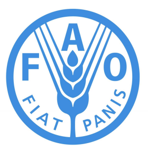 FAO: число испытывающих острую нехватку продовольствия людей в мире выросло на 22 процента