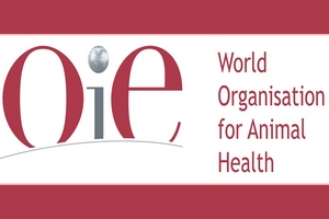 Евгений Непоклонов обсудил с Генеральным Директором МЭБ методы совместной борьбы с распространением особо опасных и трансграничных болезней животных