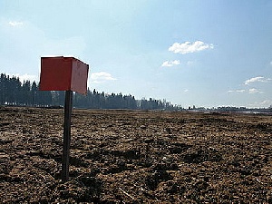 В Приамурье начали раздавать «дальневосточные гектары»